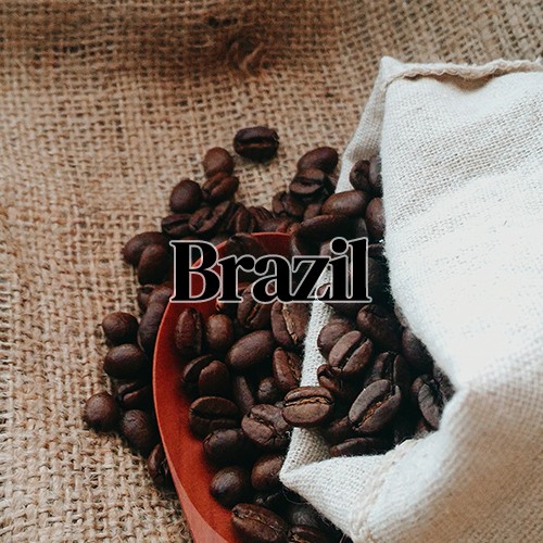 브라질 500g