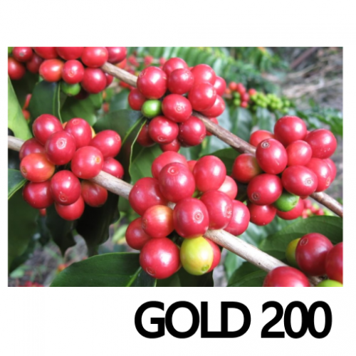 골드200(500g) 최고급 블랜딩원두